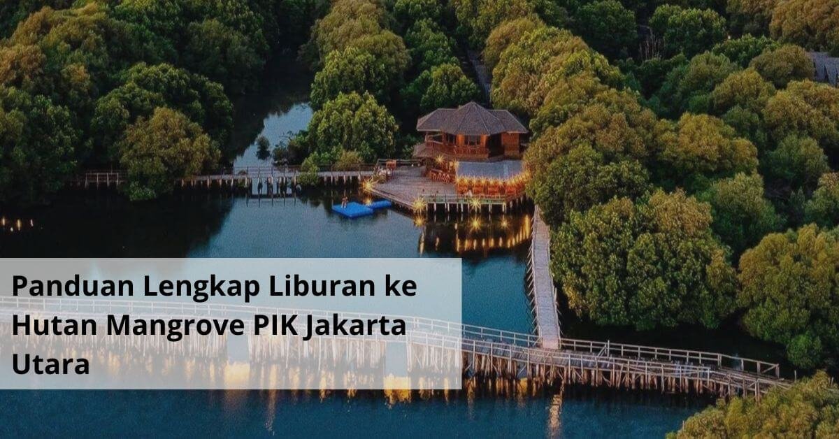 Panduan Lengkap Liburan ke Hutan Mangrove PIK Jakarta Utara